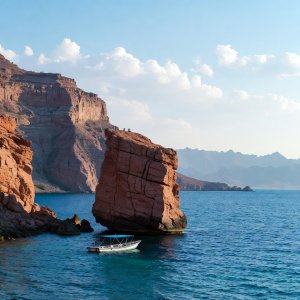 Marsa Alam - nurkowanie na dziko - image 2