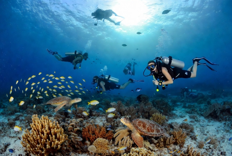 Delphinus - nurkowanie jest piękne ! - image 4